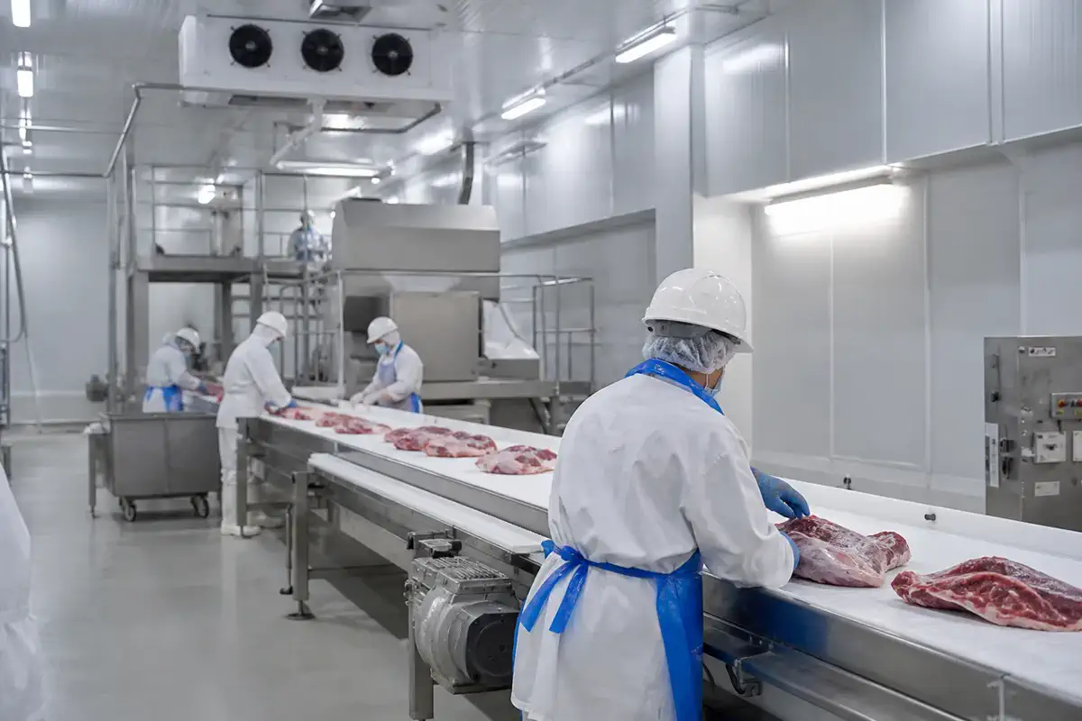 Пищевое производство — Meat — пищевая промышленность 11 | Arteco New Materials Technology (Kazakhstan) Group Ltd.