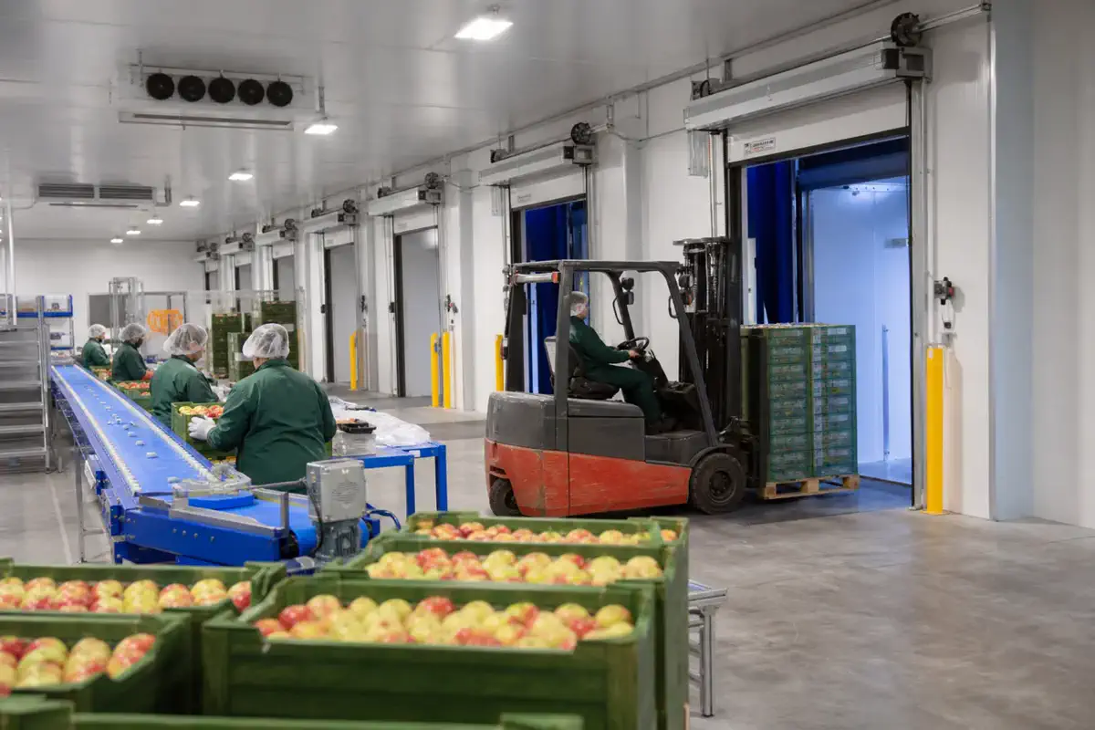 Пищевое производство — Dairy — чистое помещение 27 | Arteco New Materials Technology (Kazakhstan) Group Ltd.