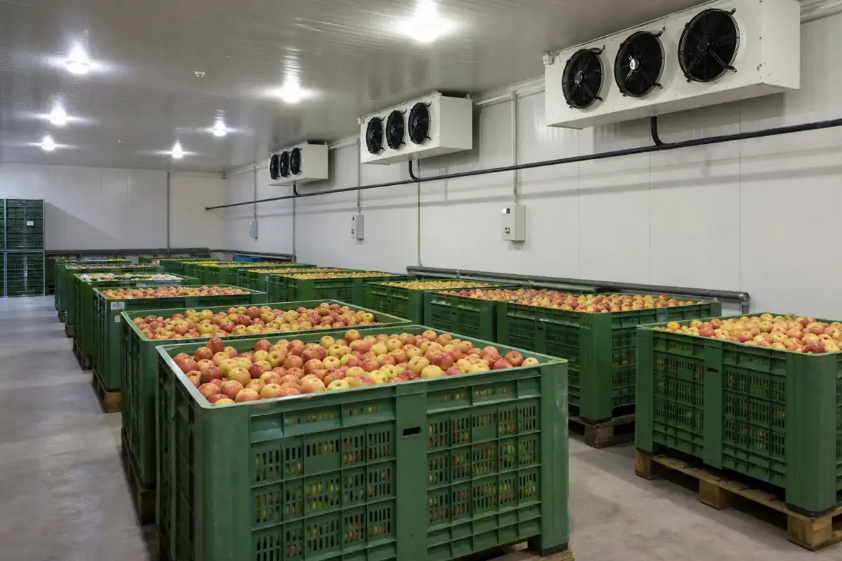 Хранение фруктов и овощей — Vegetables — узел ламинирования панели 03 | Arteco New Materials Technology (Kazakhstan) Group Ltd.